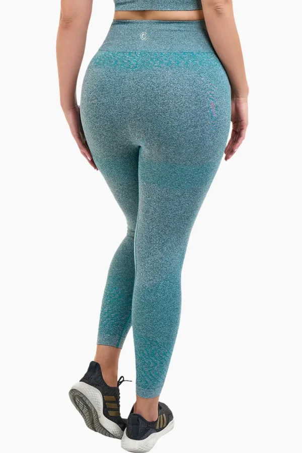 asssas active workout leggings